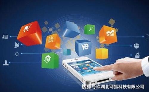 湖北網狐科技 電商App開發(fā)如雨后春筍，細分行業(yè)如何搶占商機