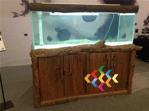 生態(tài)水族箱之美 七彩魚(yú)缸與配件全解析