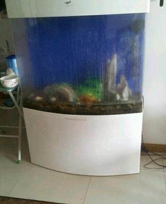 八成新熱帶魚魚缸轉讓，含配套小工具，適合新手入門