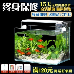超白草缸 打造水底綠洲，從精選魚缸與寵物配件開始